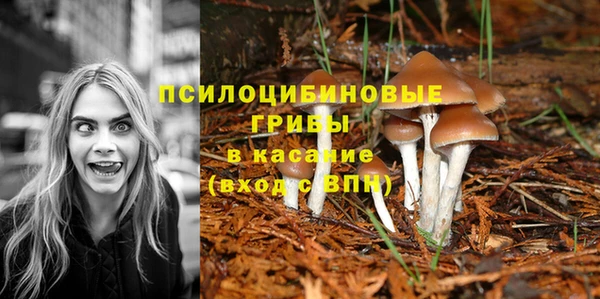 героин Богородицк