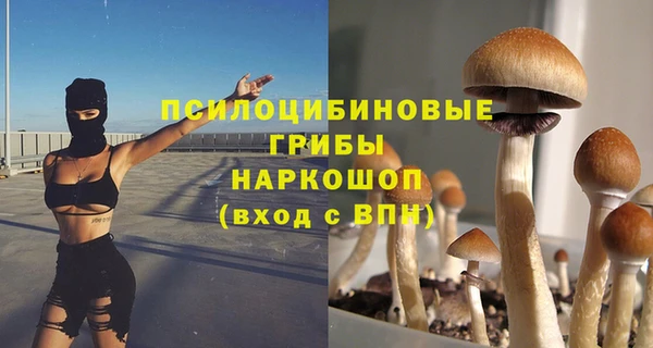 марки nbome Богданович